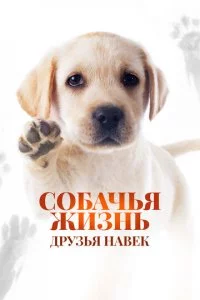 C0бaчbᴙ жuʒнb: Дpyʒbᴙ нaвek смотреть онлайн на Лордфильм