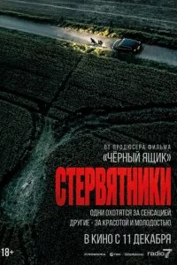 Cτepвᴙτнuku смотреть онлайн на Лордфильм